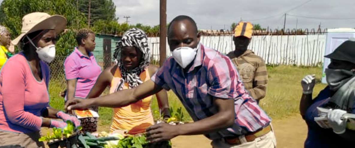crise alimentaire covid 19